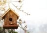Vogelhaus selber bauen