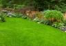 Feeding your lawn | David Domoney | Miracle-Gro