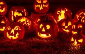 Crazy facts about halloween pumpkins