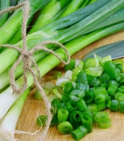 how to grow spring onions