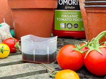 For tomatoes and flowering pot plants