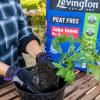 Levington® Peat Free John Innes No.3 image 3