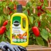 Miracle-Gro® Performance Organics Fruit & Veg Concentrated Liquid Plant Food image 2