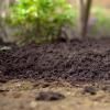 Miracle-Gro® Peat Free Premium Garden Soil image 2
