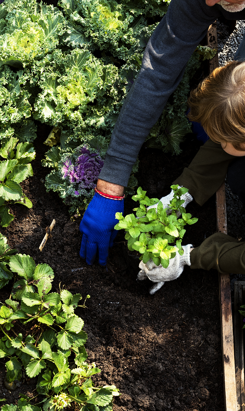 lovethegarden | Scotts NZ