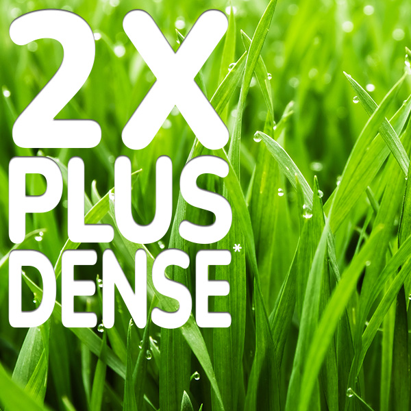 2x-plus-dense.jpg Substral Patch Magic® 2x plus dense