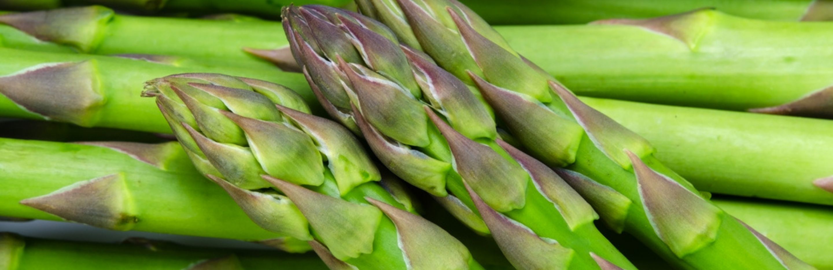 How to grow & care for asparagus