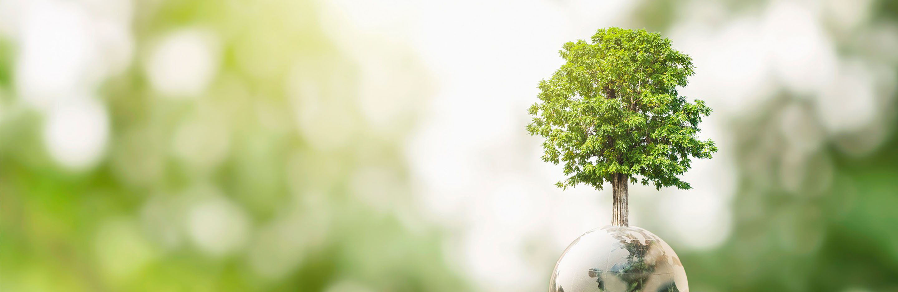 Baum steht auf Planet