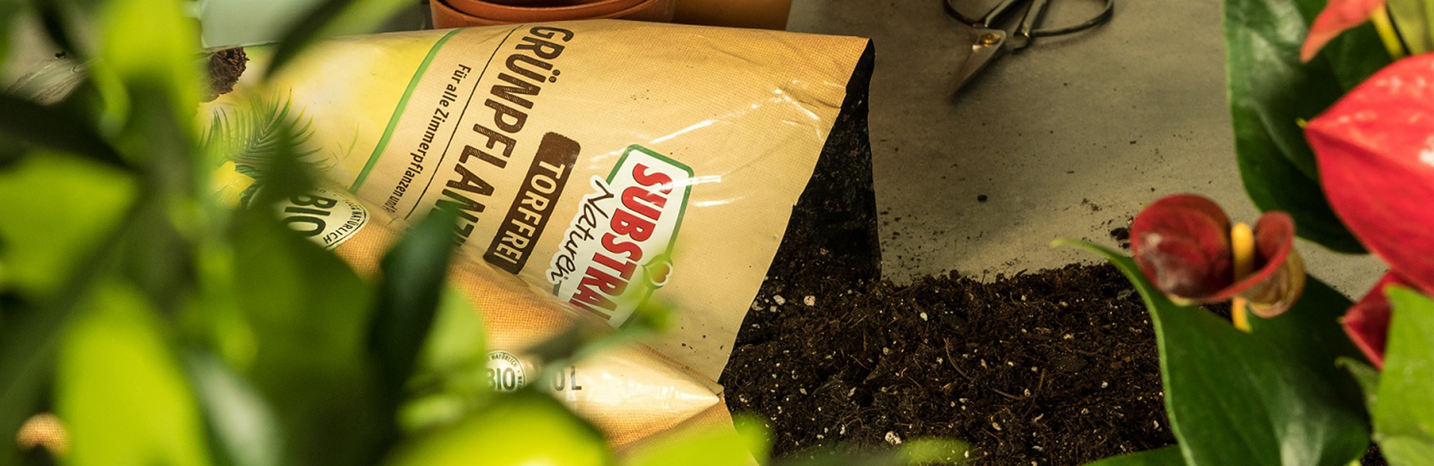 Substral Naturen Erde ausgeschüttet