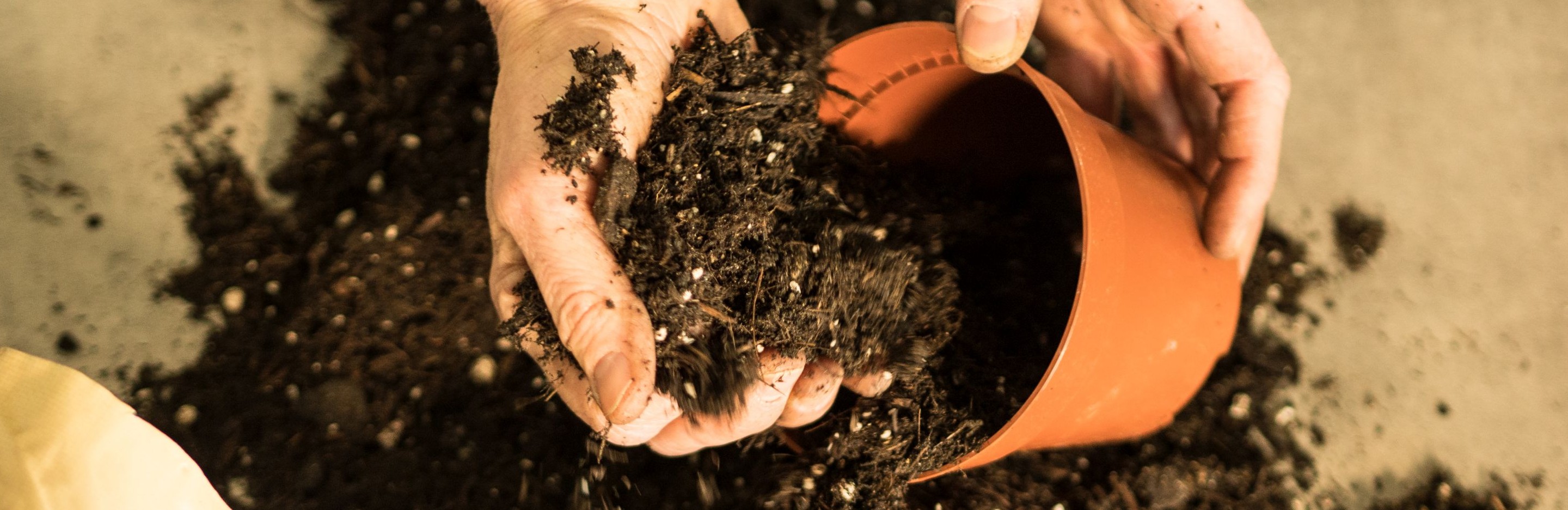 Blumenerde zum Umtopfen