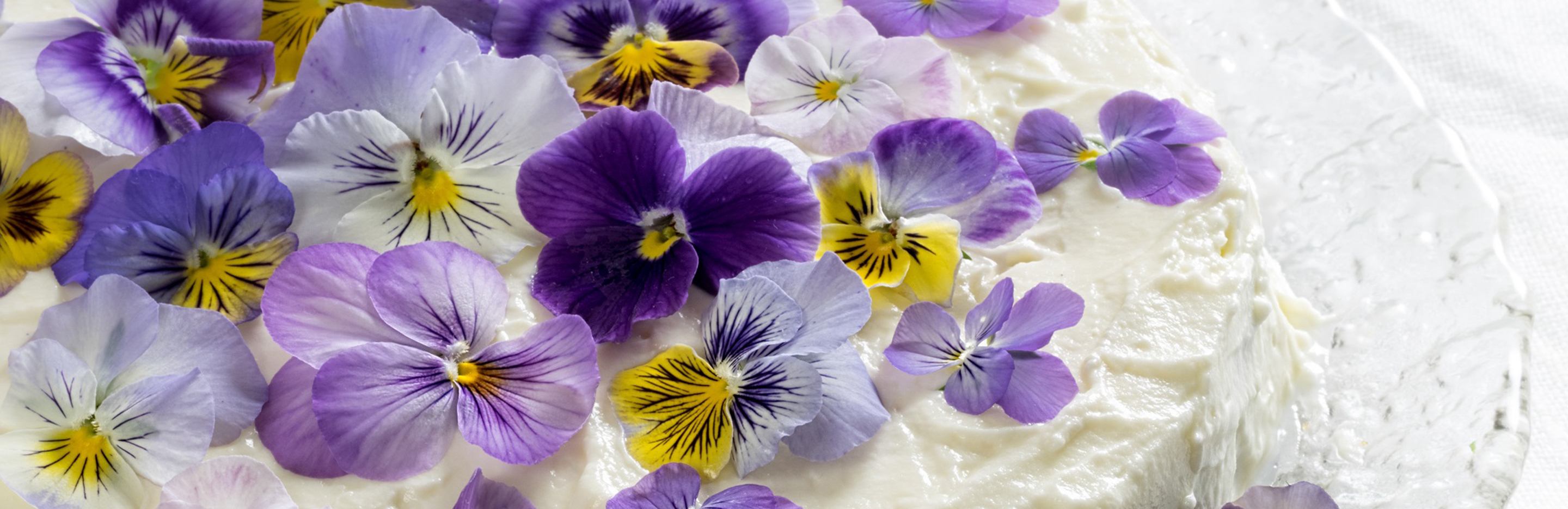 Edible Flowers