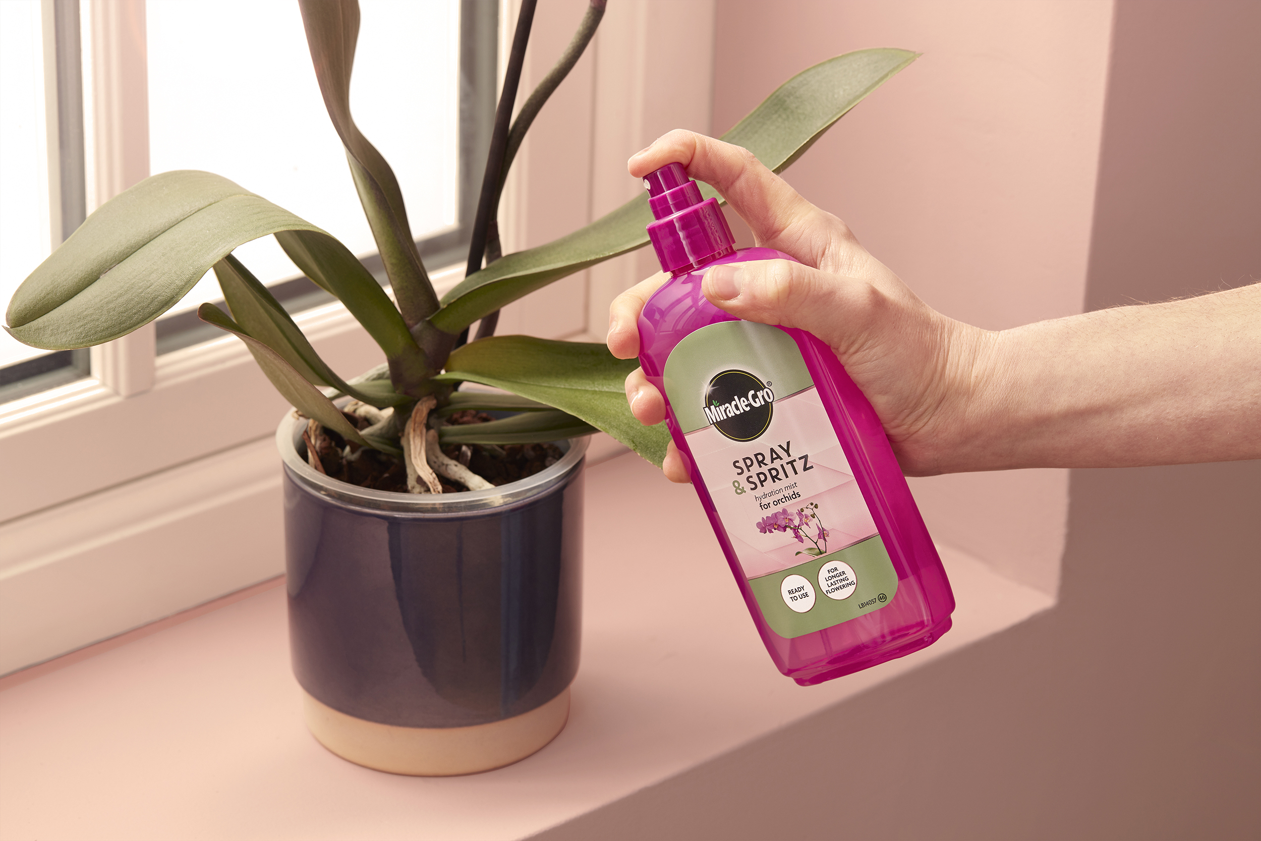 Evergreen_Performance_Organics_In_Use_0570.jpg Grow your indoor jungle | David Domoney | Miracle Gro