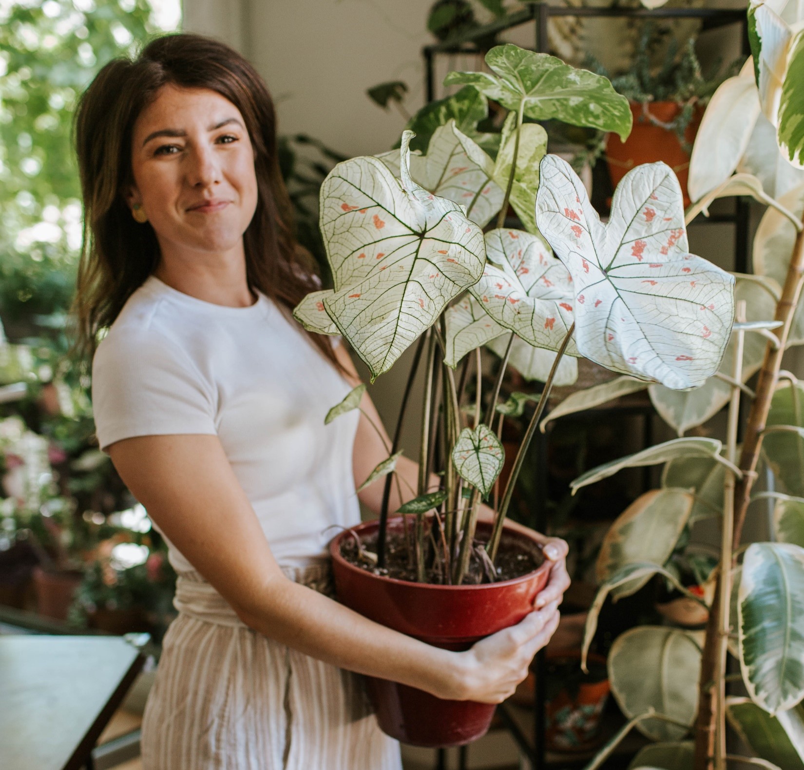 Marion Botanical jardin