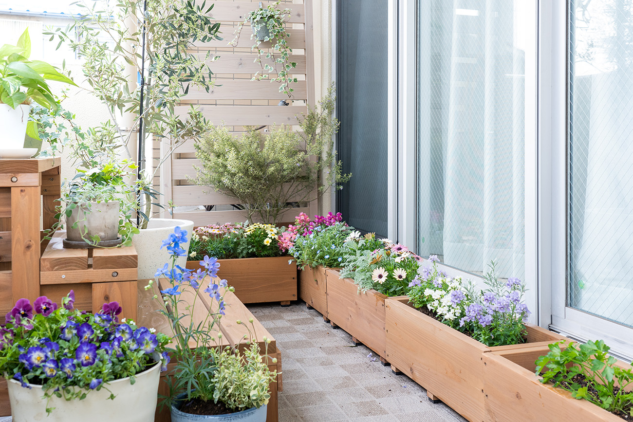 Marion Botanical, ses astuces pour fleurir son balcon