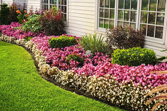 Comment avoir un beau jardin ?