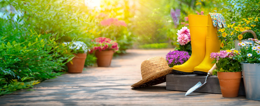 Entretenir et nettoyer son jardin au printemps