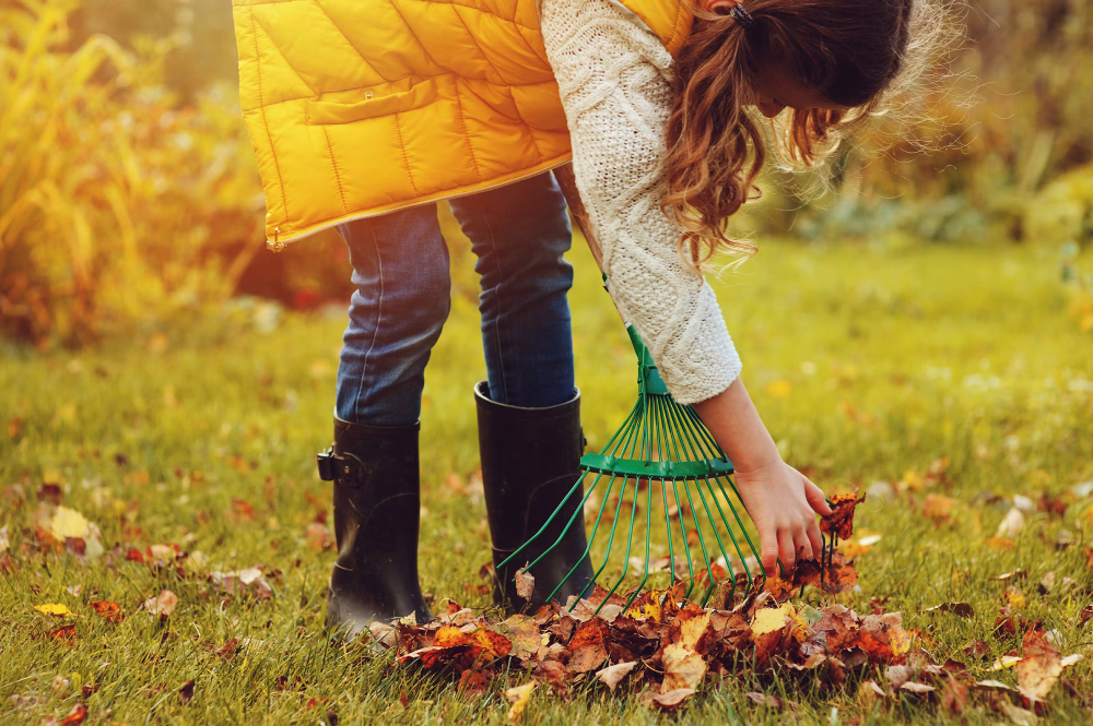 Quels travaux dans son jardin en automne