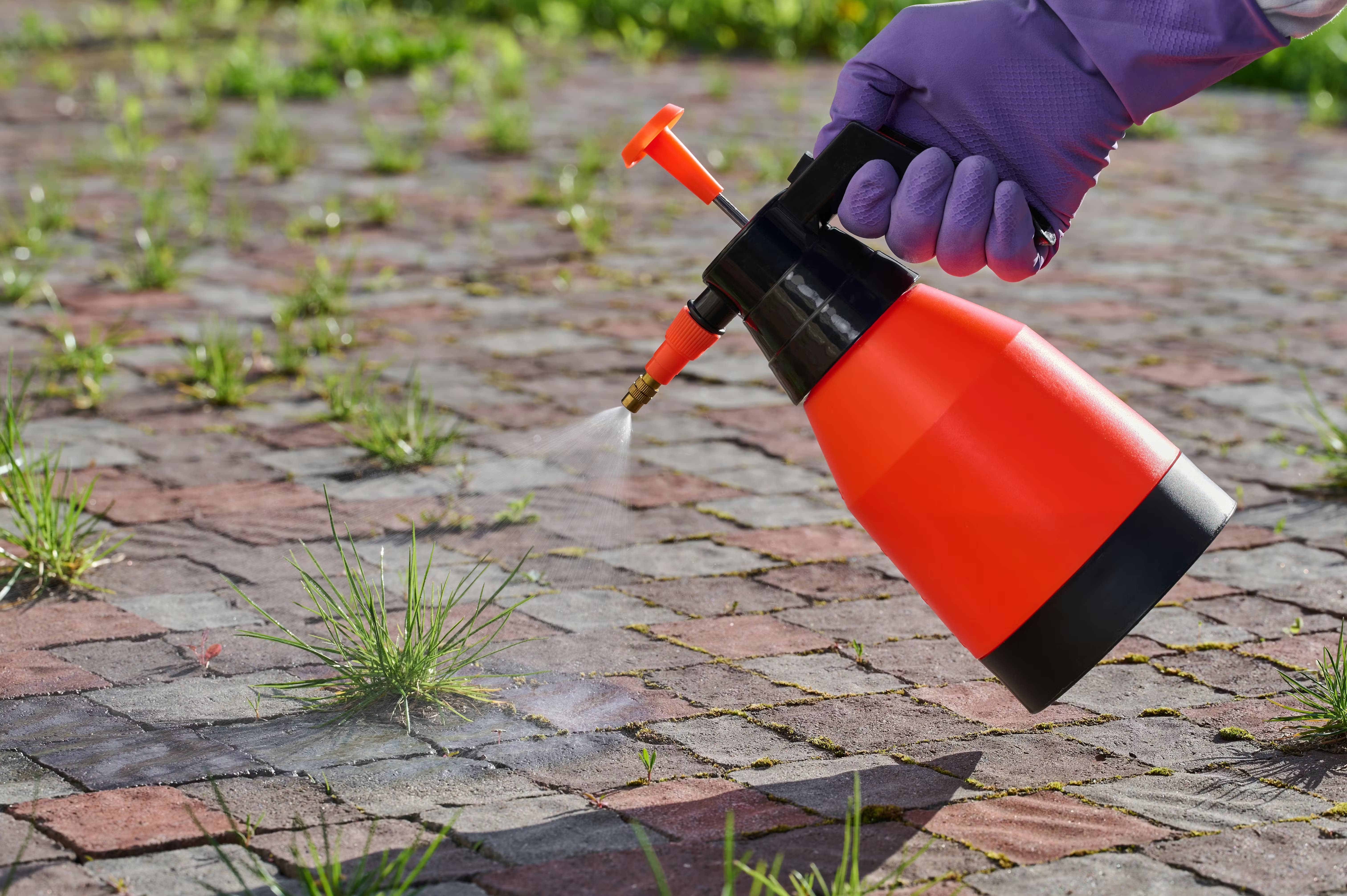 Roundup | La Pause Jardin