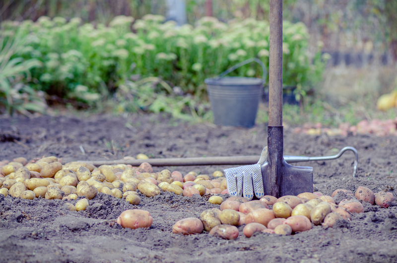 Love the Garden - how to grow potatoes