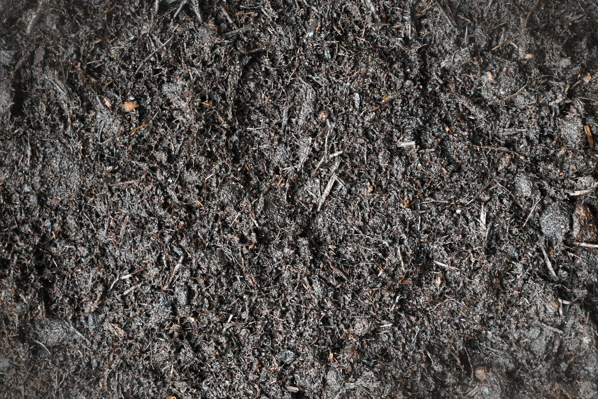 Image_Plate_63_0.jpg Love the Garden / Acid Compost / Growing Guide