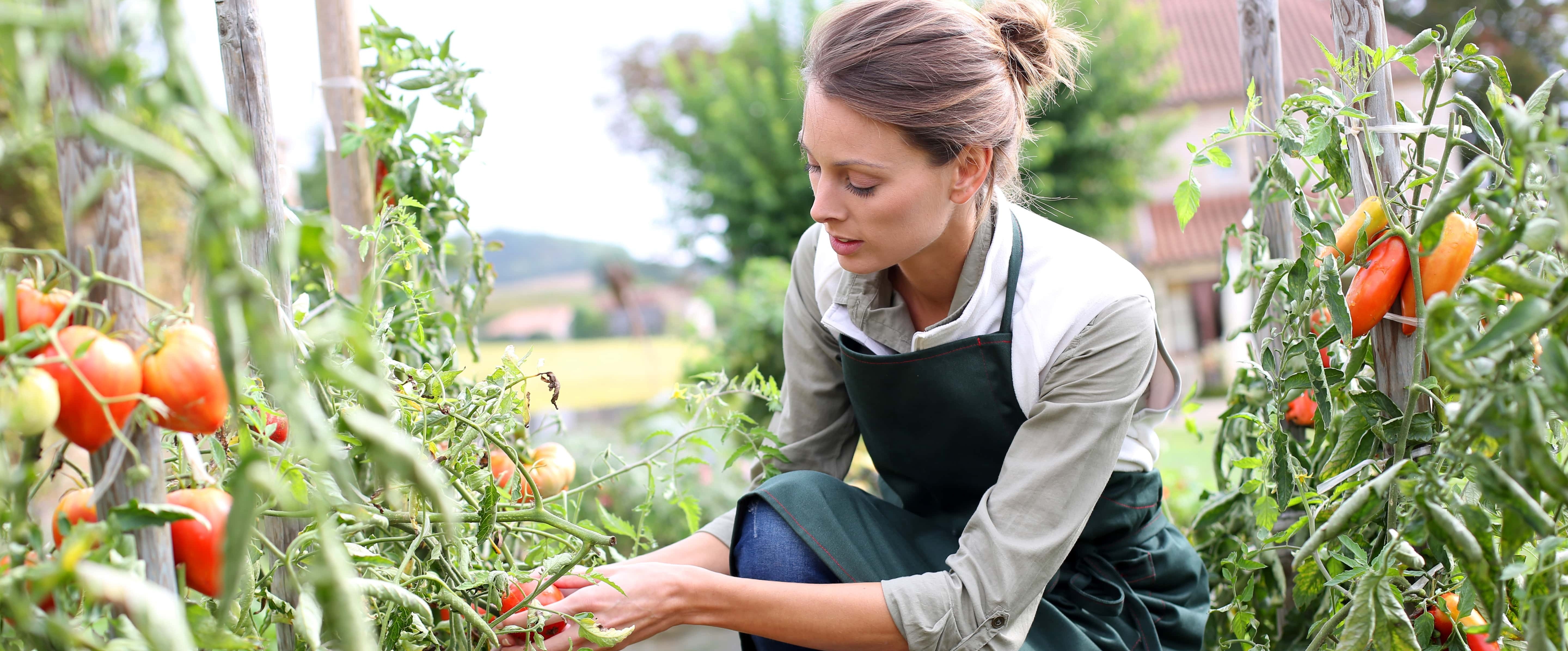 Le jardinage, indispensable à notre bien-être