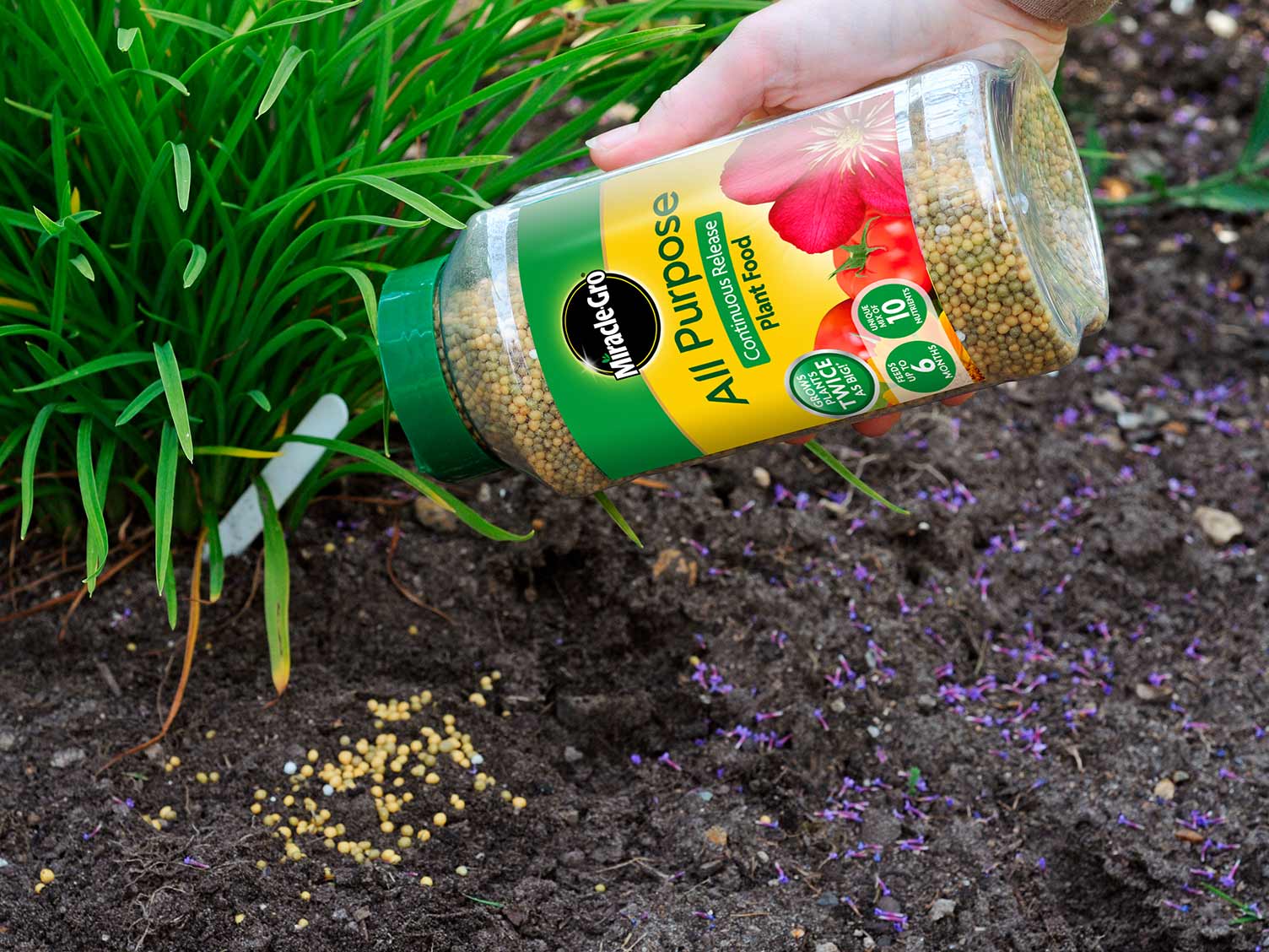 UK_controlled-release-feeding.jpg Controlled-release plant food