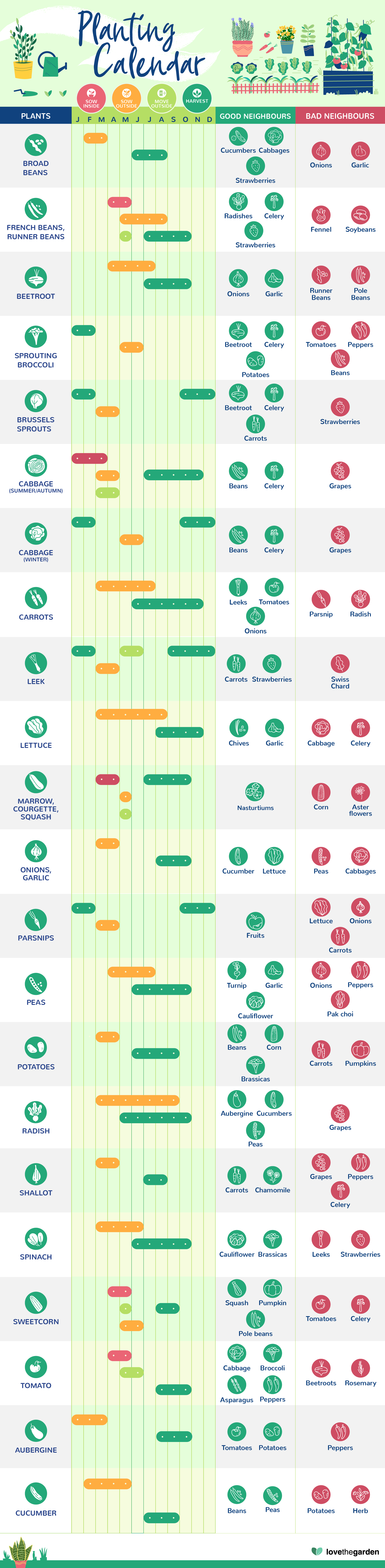 What to plant when garden calendar Love The Garden