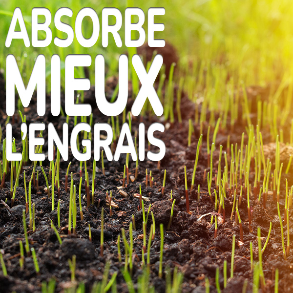 absorbe-mieux-l-engrais.jpg Substral Chaux Améliore l'absorption des engrais