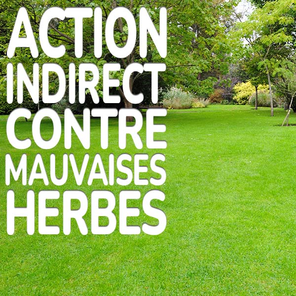action-indirect-contre-mauvaisses-herbes.jpg Substral Greenmax Action indirecte contre les mauvaises herbes