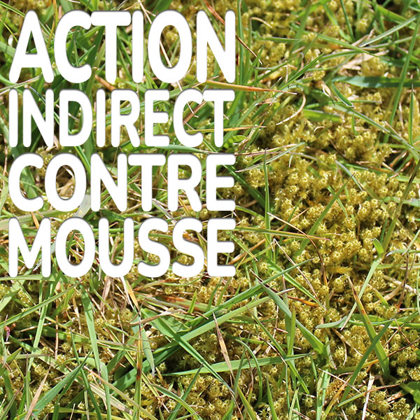 action-indirect-contre-mousse.jpg Substral Greenmax Action indirecte contre la mousse