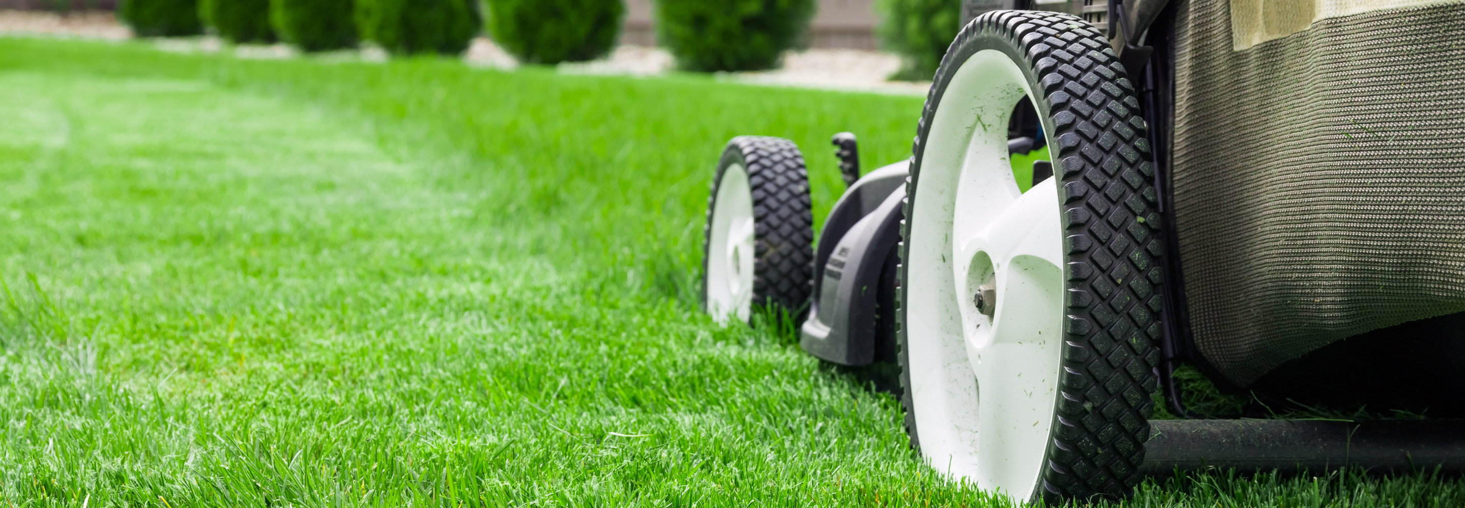 care and maintenance