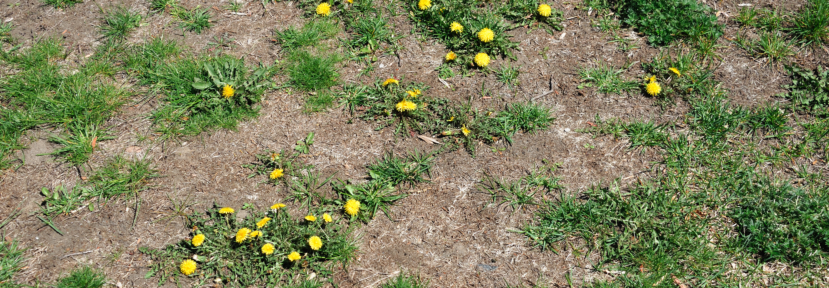 repair and maintenance