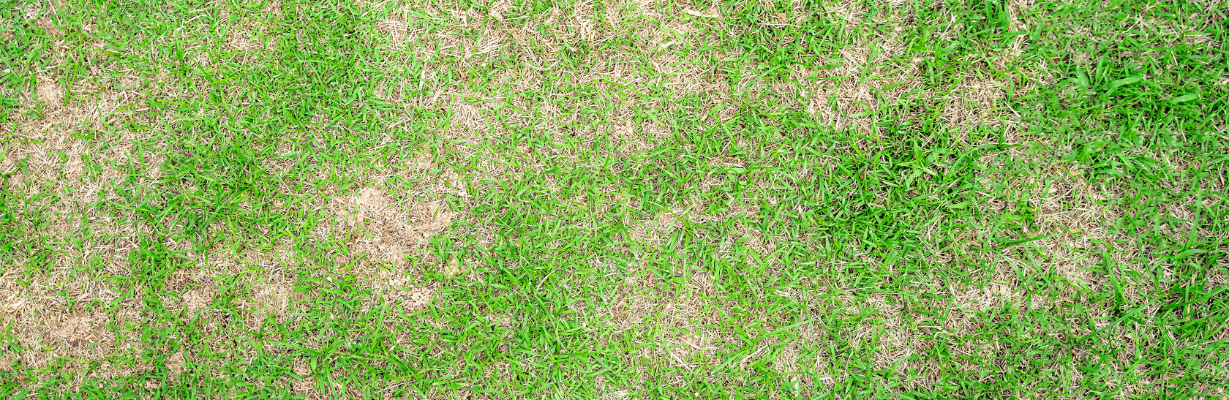 repair and maintenance