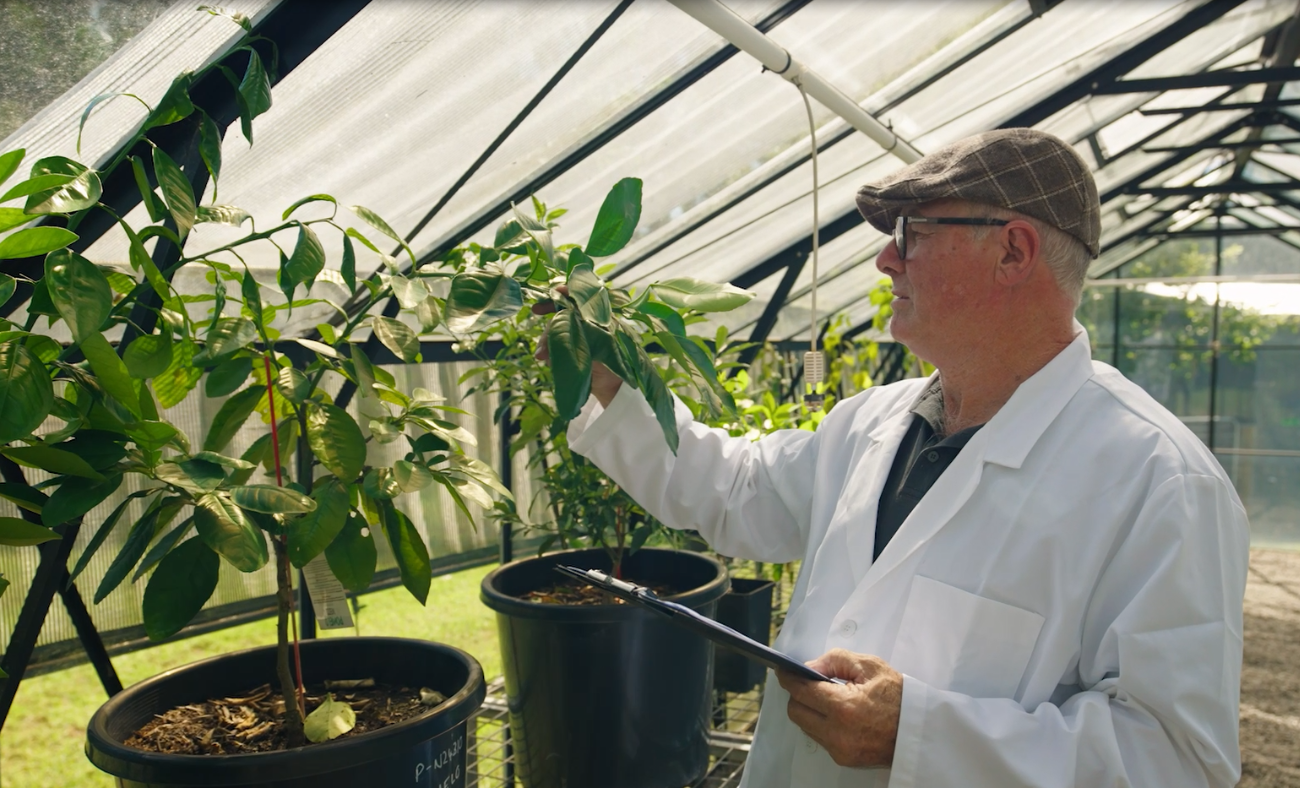 Research & Development 