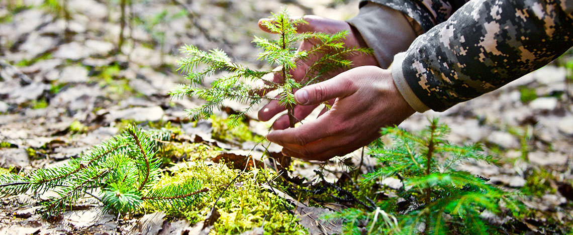 Evergreen Garden Care & duurzaamheid - hoe we vriendelijker zijn voor de natuur
