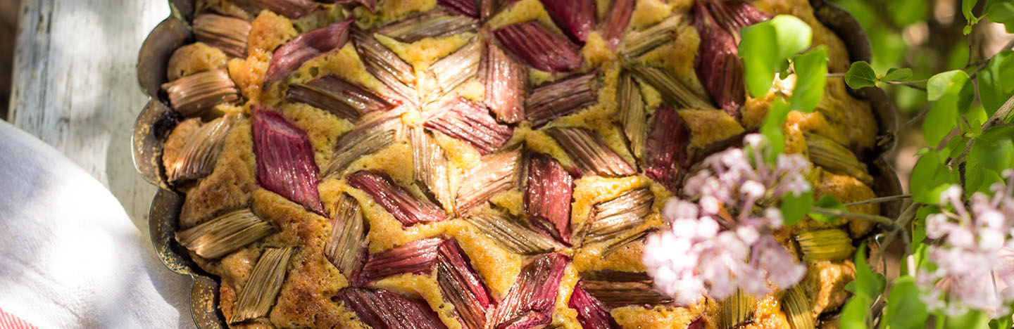 Tips advies en inspiratie om heerlijk te koken met zelf gekweekte groenten en fruit