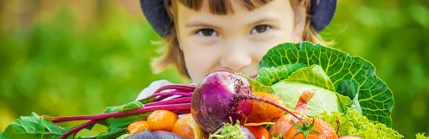 Tips, advies en inspiratie voor je moestuin