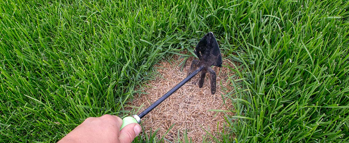 Tips en advies om je gazon te herstellen