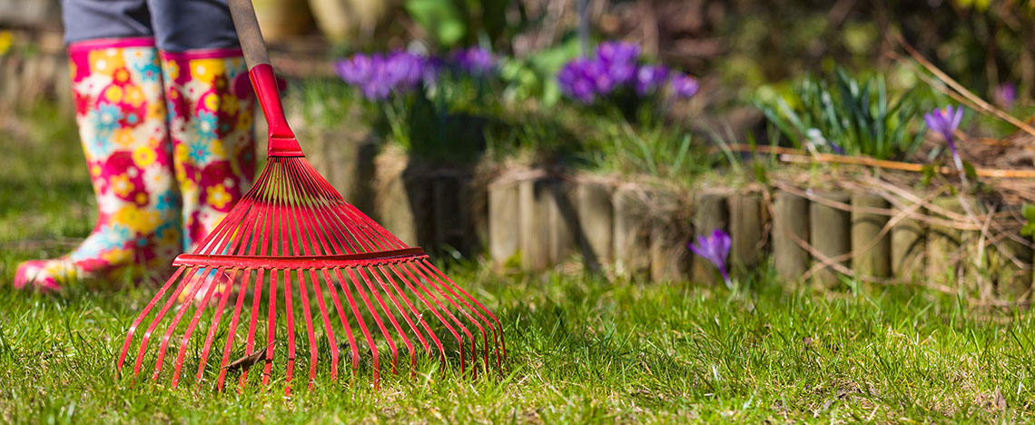 Conseils et astuces pour entretenir et fertiliser votre pelouse