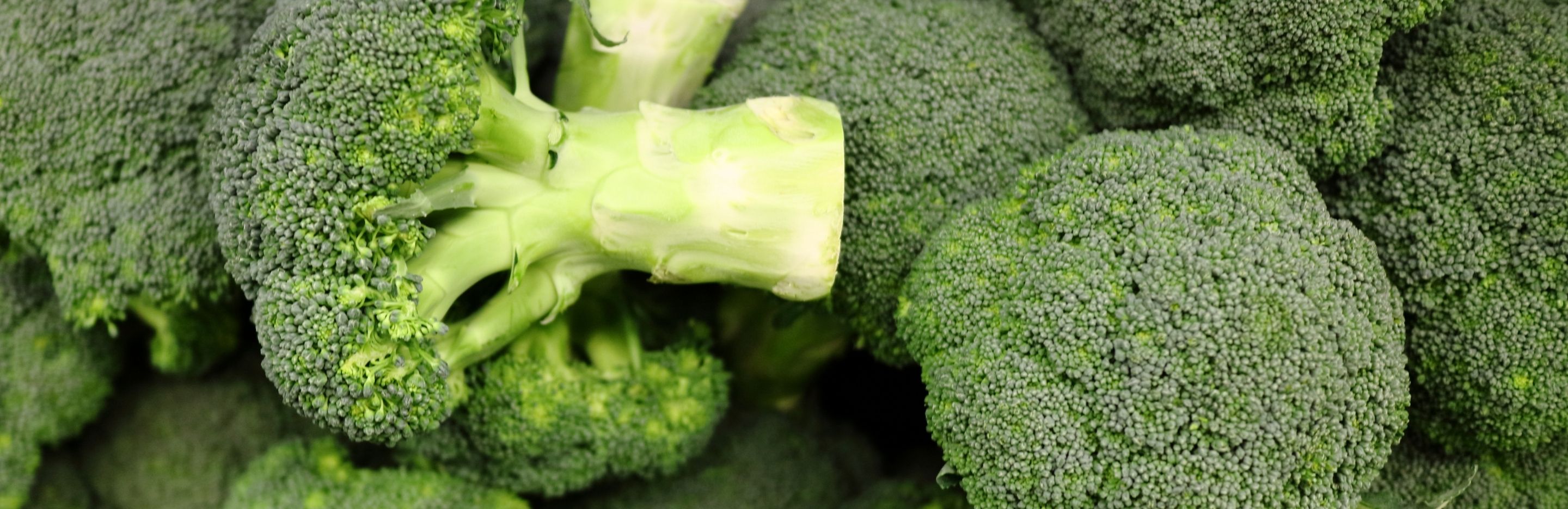 How to grow & care for broccoli
