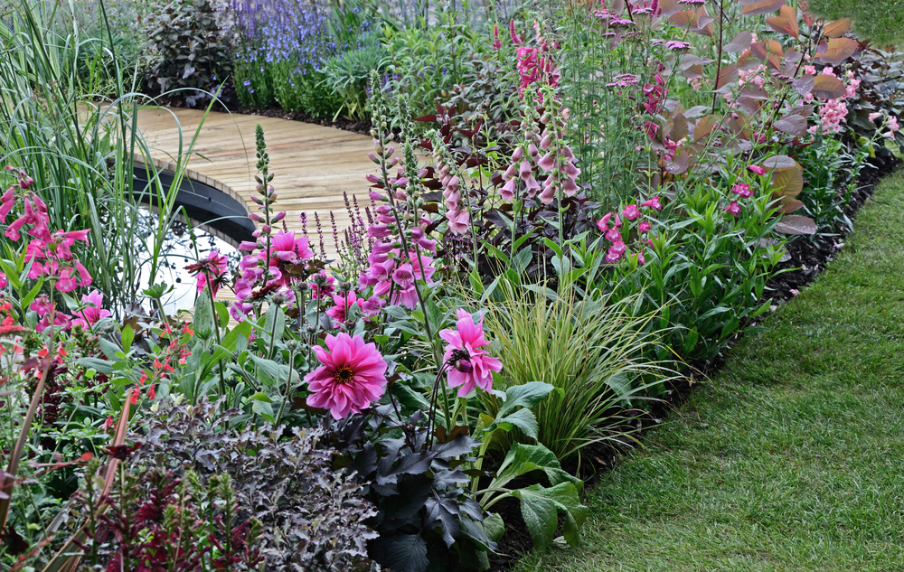 Mixed Flower Garden Border