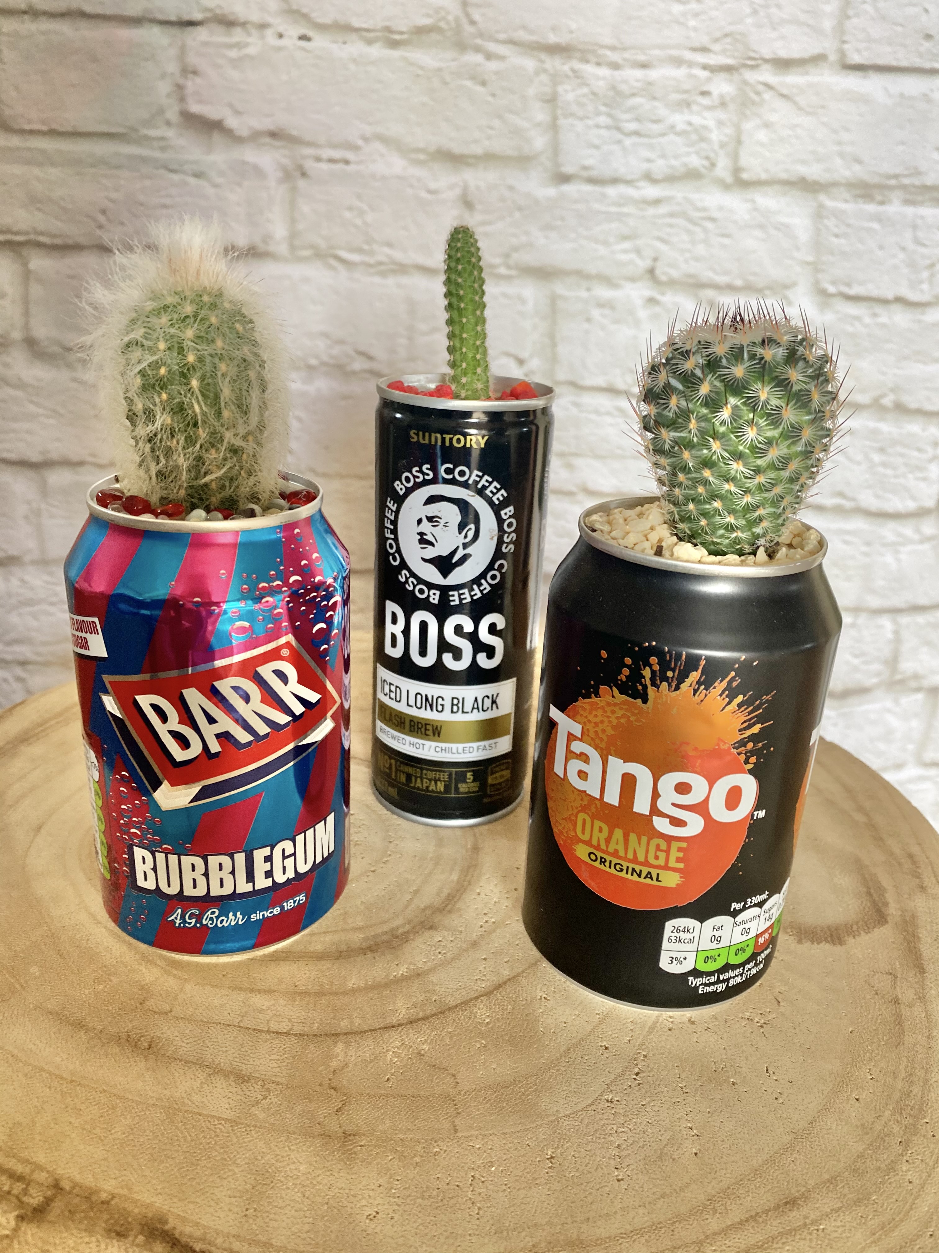 Cactus in a Can