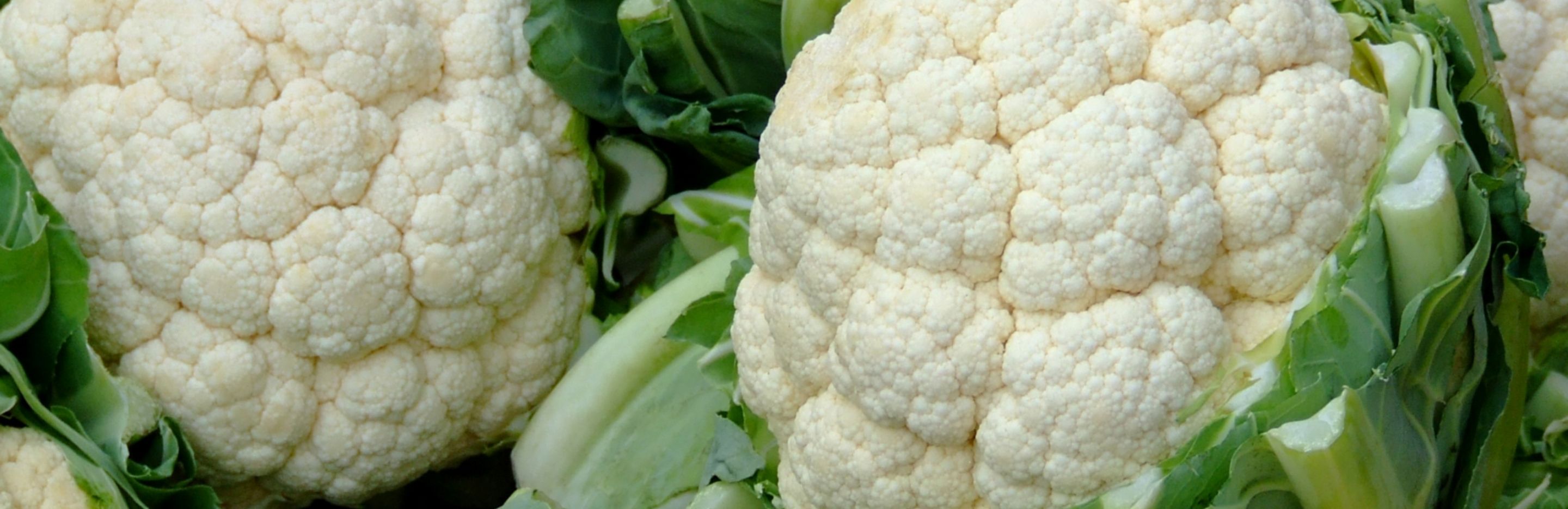 How to grow & care for cauliflower