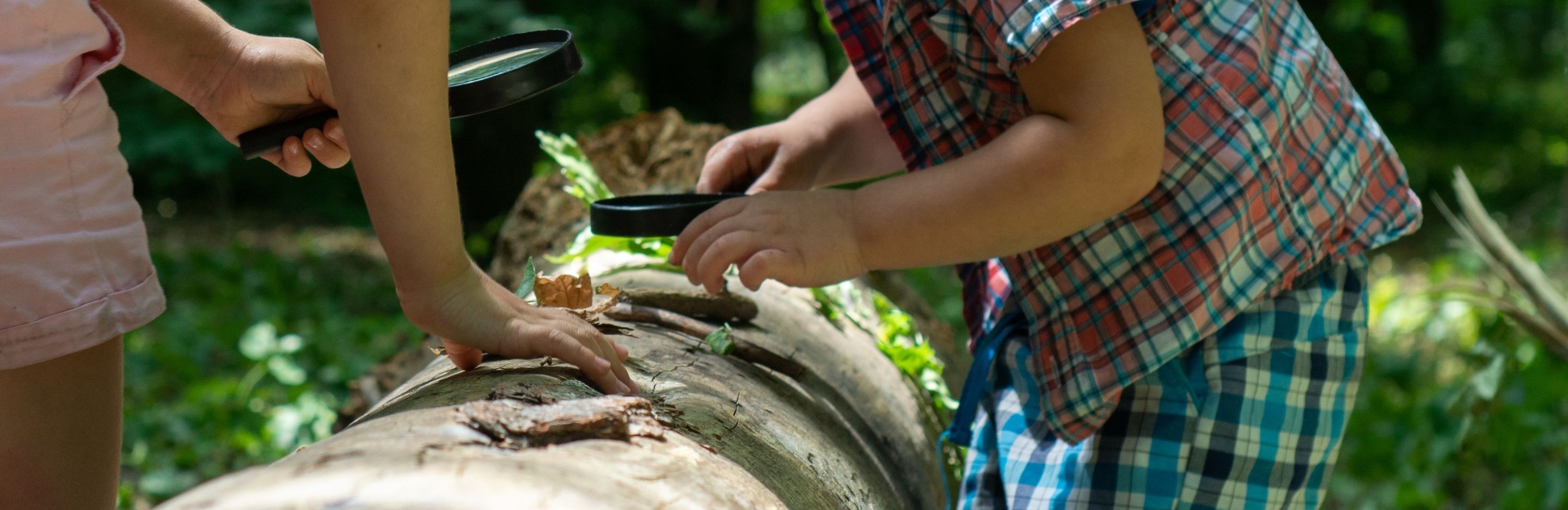 Printable Nature Journal For Kids