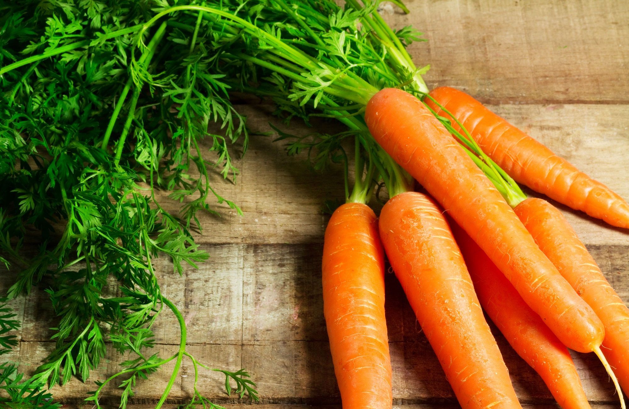 Homegrown Carrot
