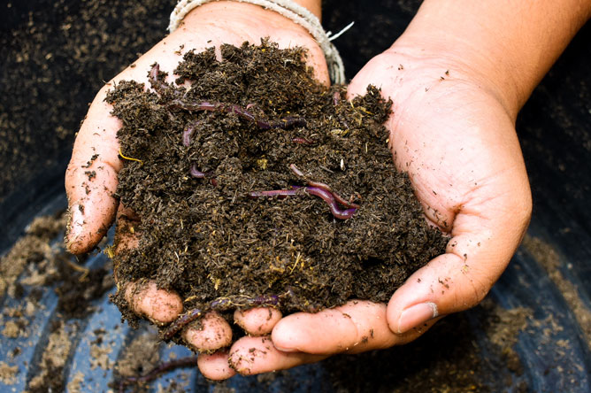drought-proofing-garden-healthy-soil