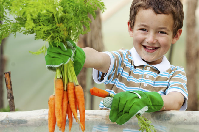 kid growing carrots