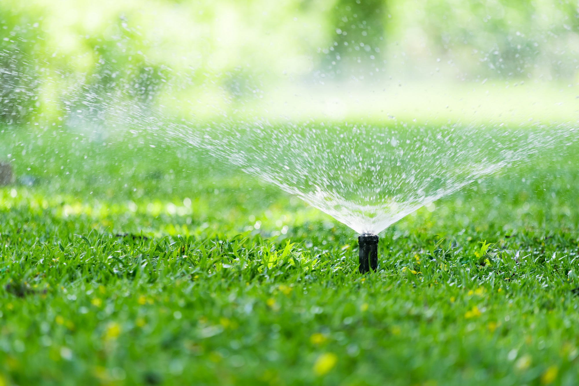 Lawn sprinkler Lawn watering