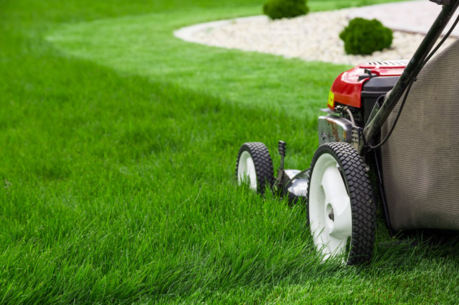 Commercial Lawn Mowing Brentwood