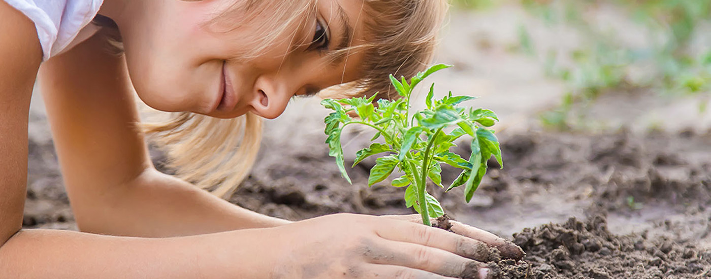 Faites florir votre jardin avec les ingrédients adéquats! Grâce à notre sélection de terreaux, engrais, amendements du sol et produits luttant contre la vermine adaptés en fonction de chaque situation, vous gardez vos plantes en bonne santé et favorisez leur bon développement. Faites confiance aux meilleurs conseils et astuces de jardinage de Substral.